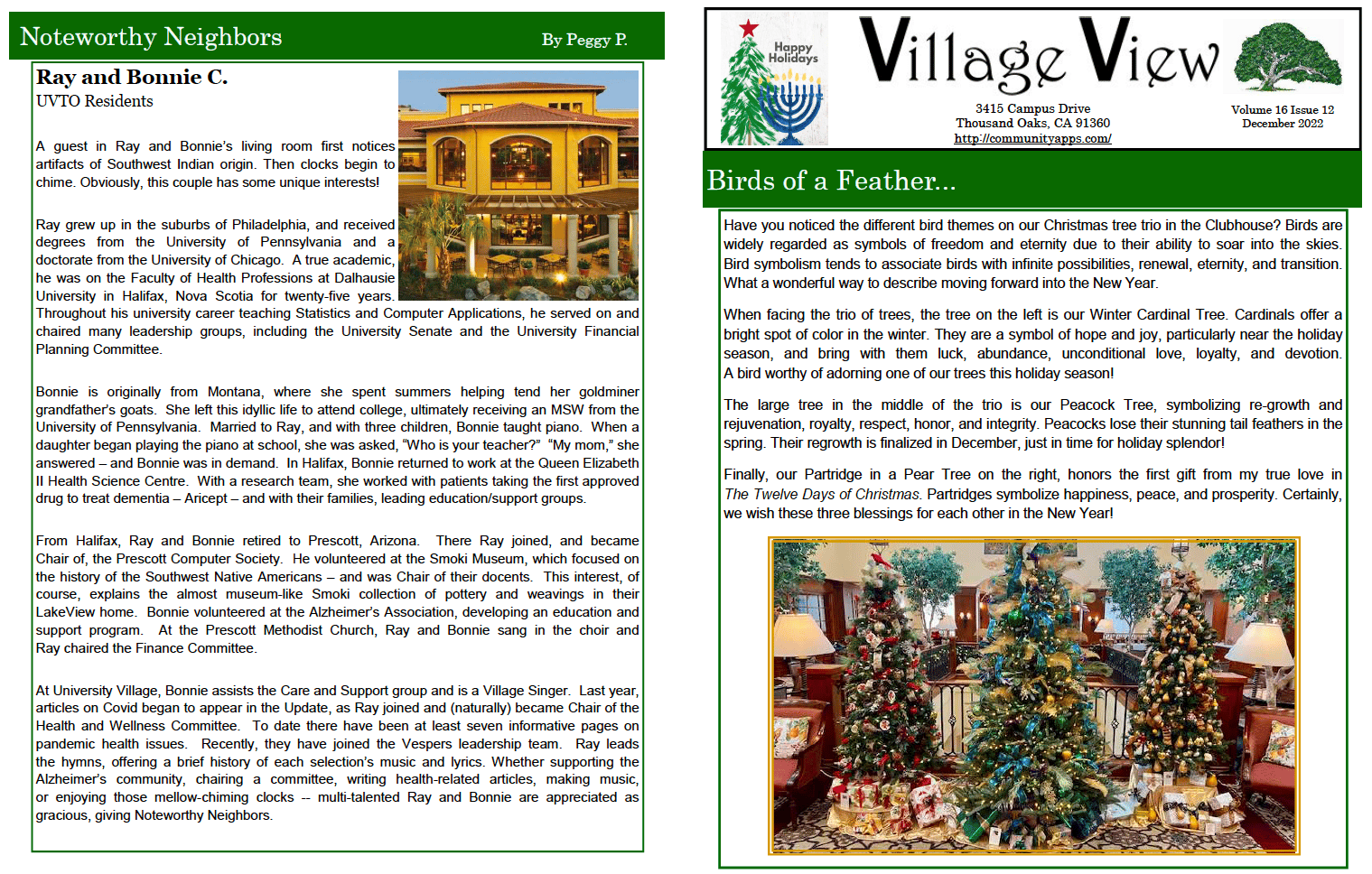 December Village View newsletter